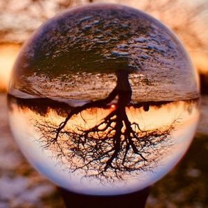 Meet your Posher, Sherry